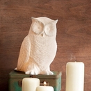 Great Horned Owl Porcelain Lamp